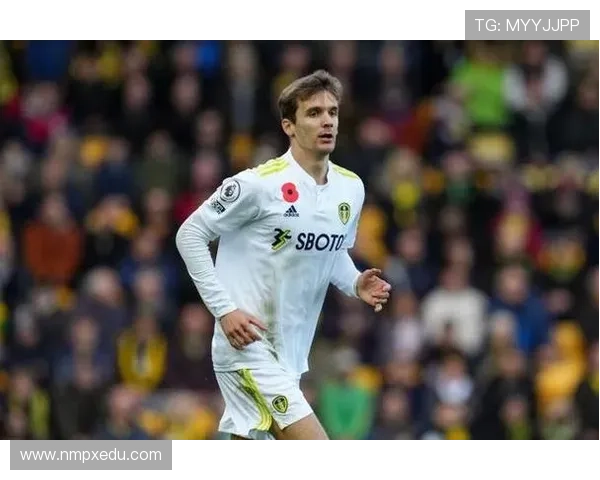 尤文图斯瞄准图卢兹后卫克雷斯韦尔转会费预计达1000万欧元